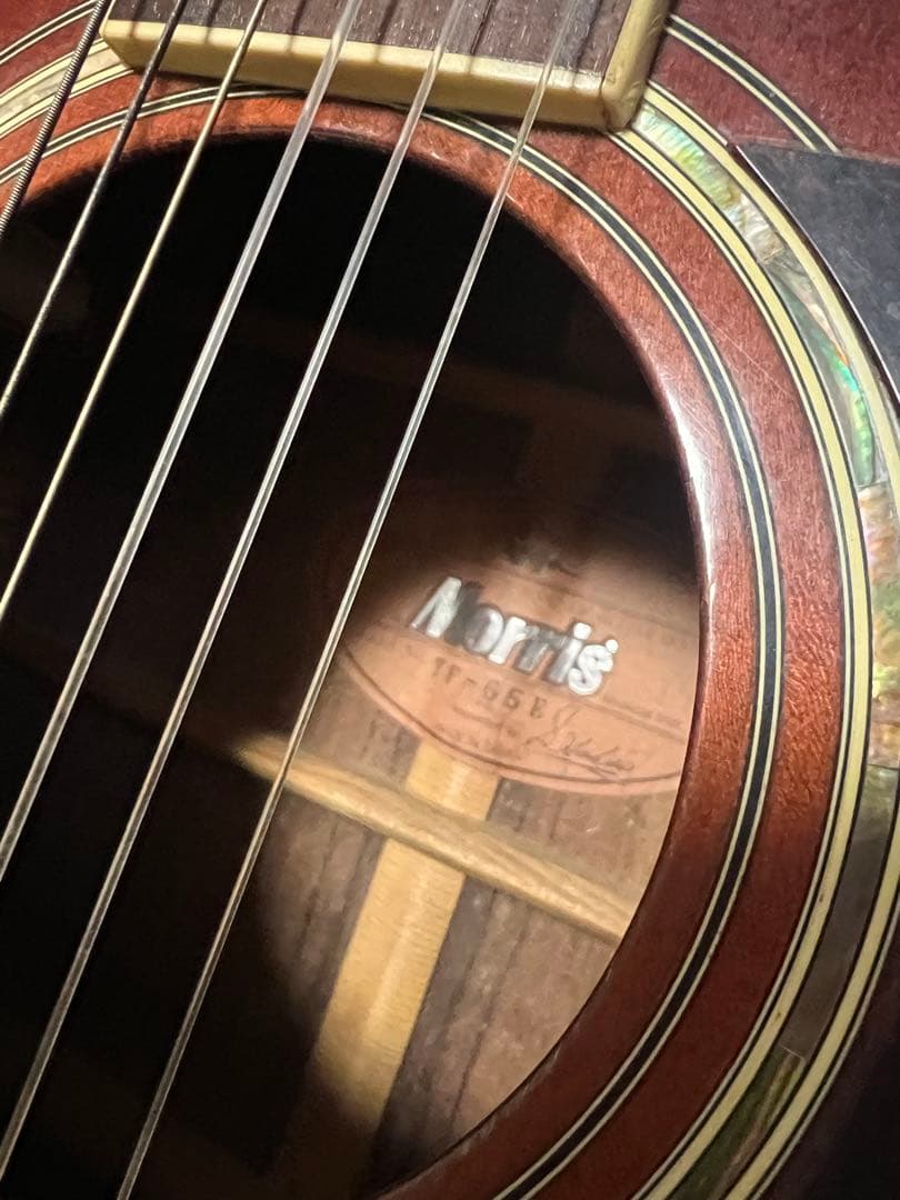 Morris TF アコースティックギター