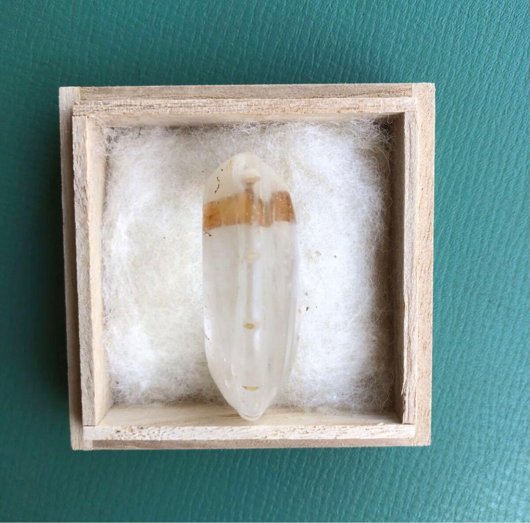 勾玉　（g）　箱付き