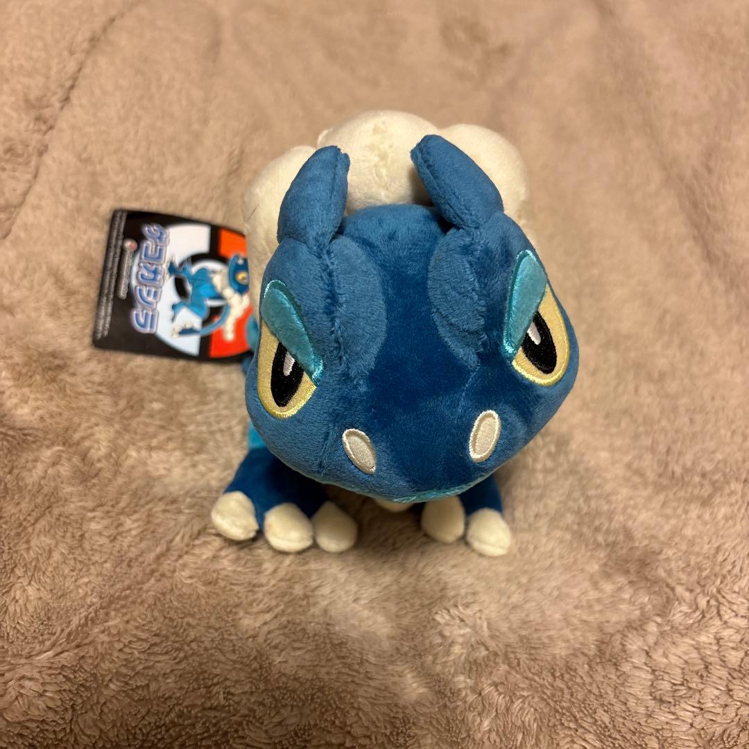 ポケモンセンター　ゲコガシラ　ぬいぐるみ