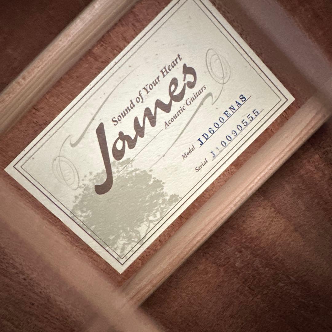 James JD600ENAS エレアコ 弦楽器 アコースティックギター