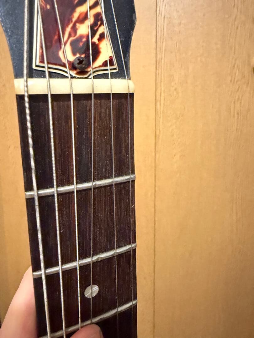 n*h様 Gibson melody maker k&t PU搭載　メロディメー