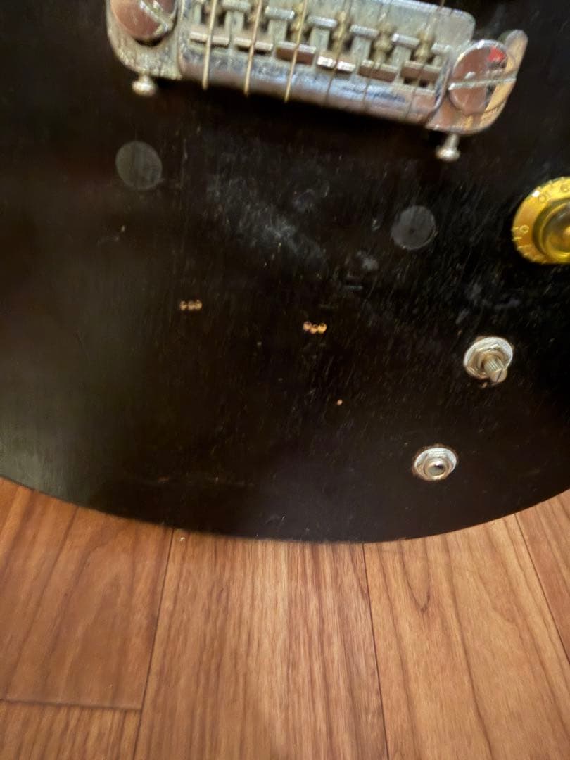 n*h様 Gibson melody maker k&t PU搭載　メロディメー