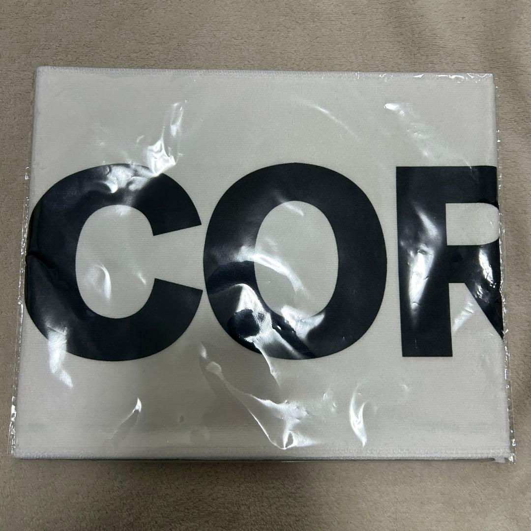 CORTIS ロゴ　ペンライト　タオル　セット　lightstick towel