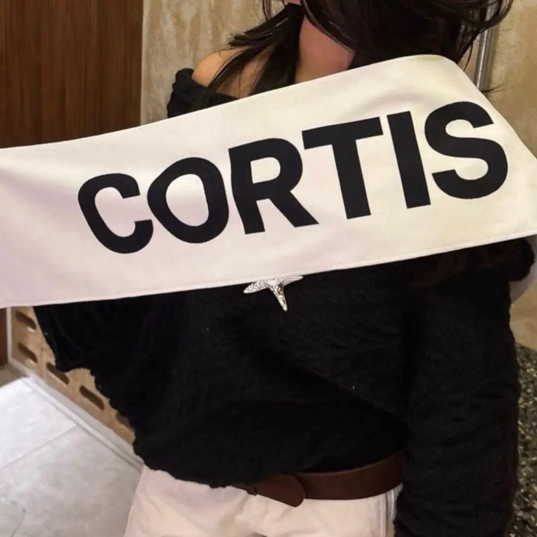 CORTIS ロゴ　ペンライト　タオル　セット　lightstick towel
