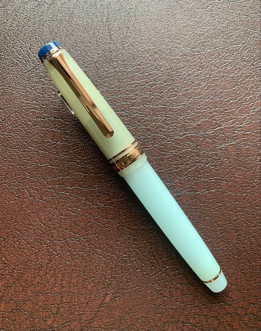 海外限定セーラー万年筆 プロギアスリム ドライフラワーシリーズ アジサイM