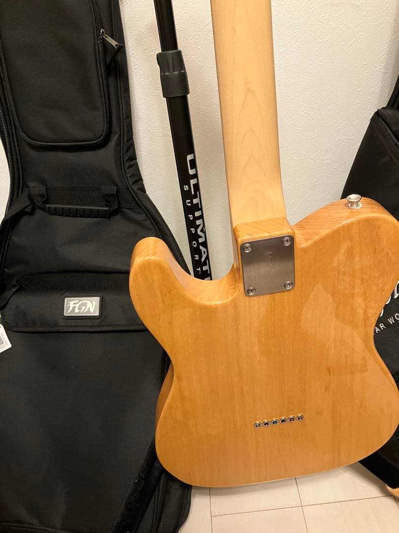 FUJIGEN Neo Classic NTE10MAH テレキャスター