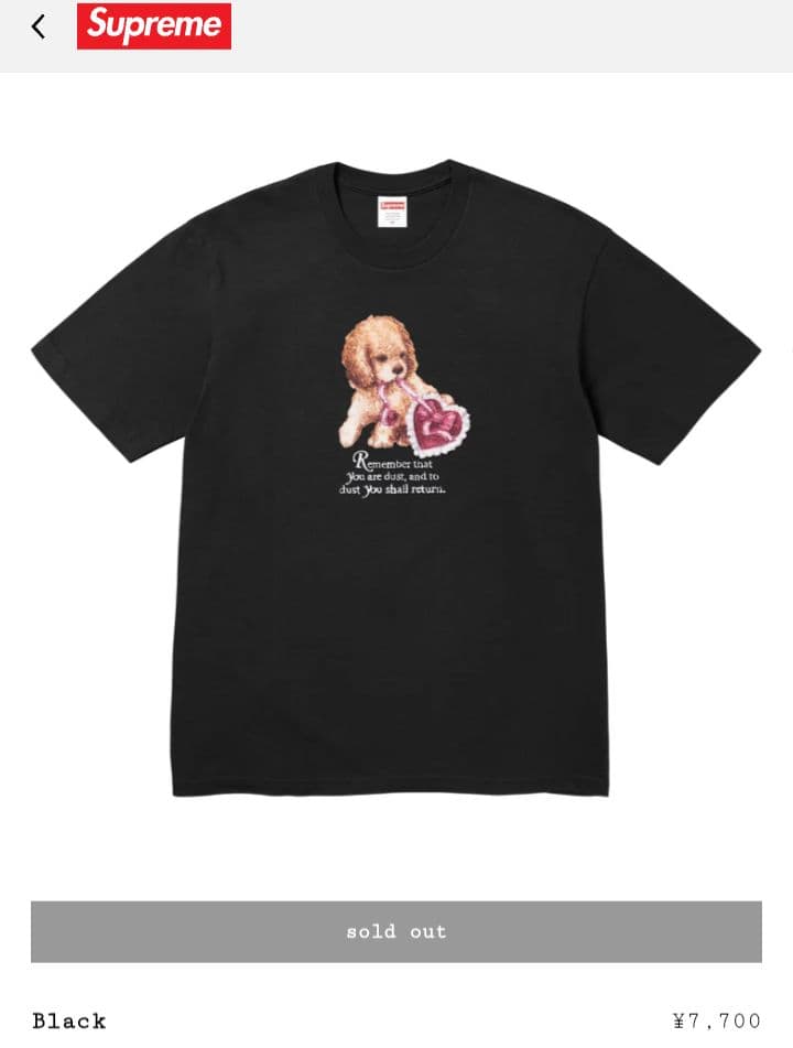 Supreme / Dust Tee (M) 黒