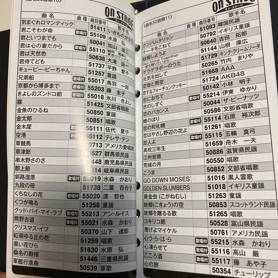 ON STAGE PK-NE01W パーソナルカラオケ マイク 900曲2015