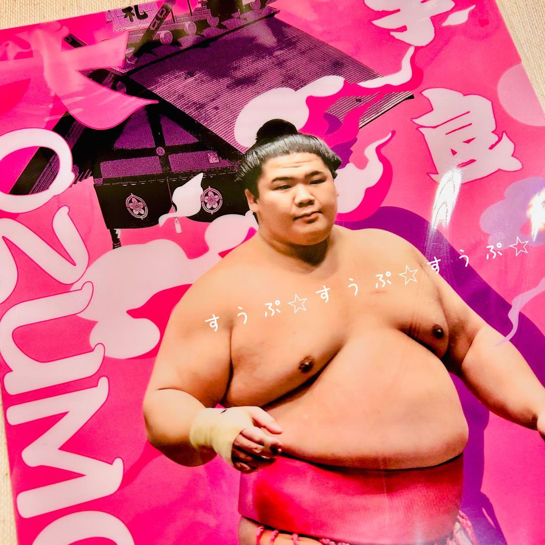 チェブラーシカ様①専用です(1/23まで)