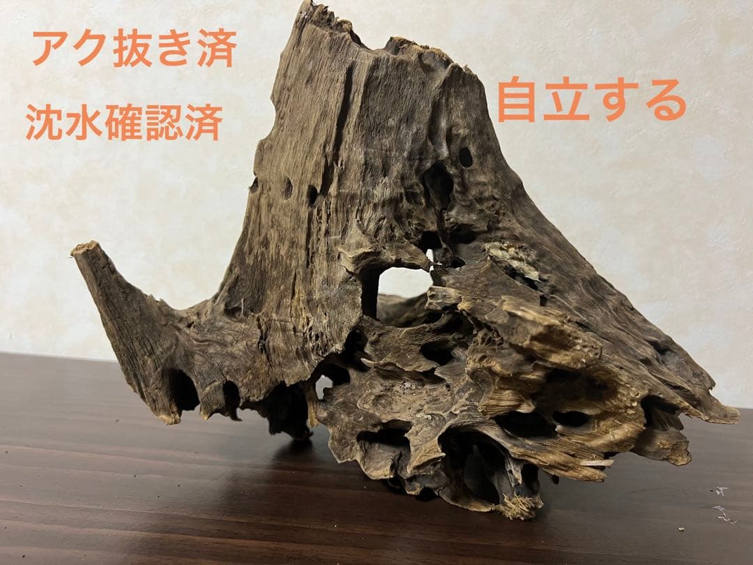(XM-200) 流木　マシンガンウッド　アクアリウム　沈水確認済