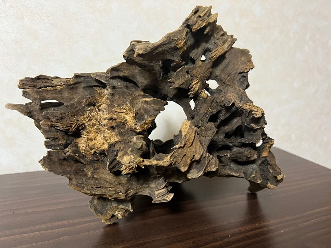 (XM-200) 流木　マシンガンウッド　アクアリウム　沈水確認済