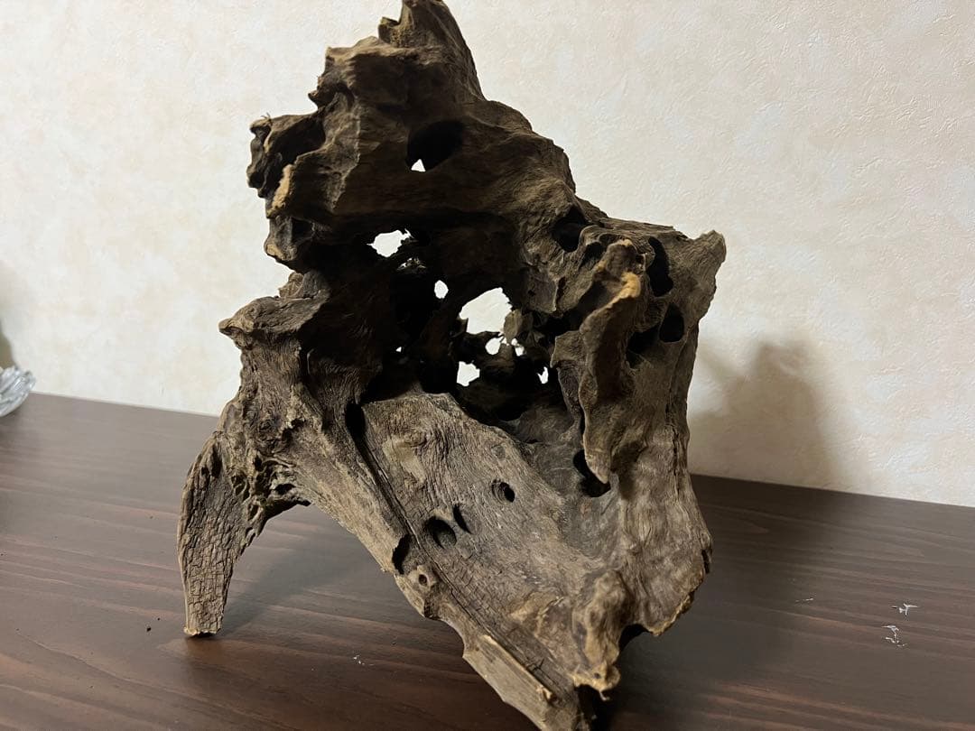 (XM-200) 流木　マシンガンウッド　アクアリウム　沈水確認済