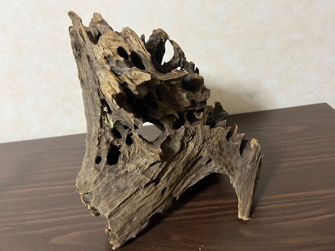 (XM-200) 流木　マシンガンウッド　アクアリウム　沈水確認済