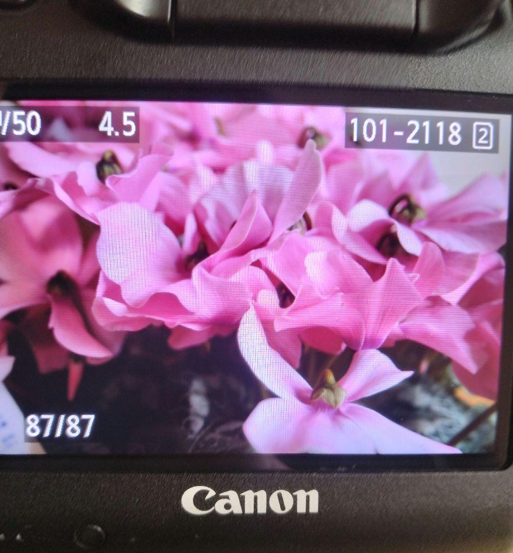 Canon EOS 5D Mark3 Mark III （キャノン マーク3）