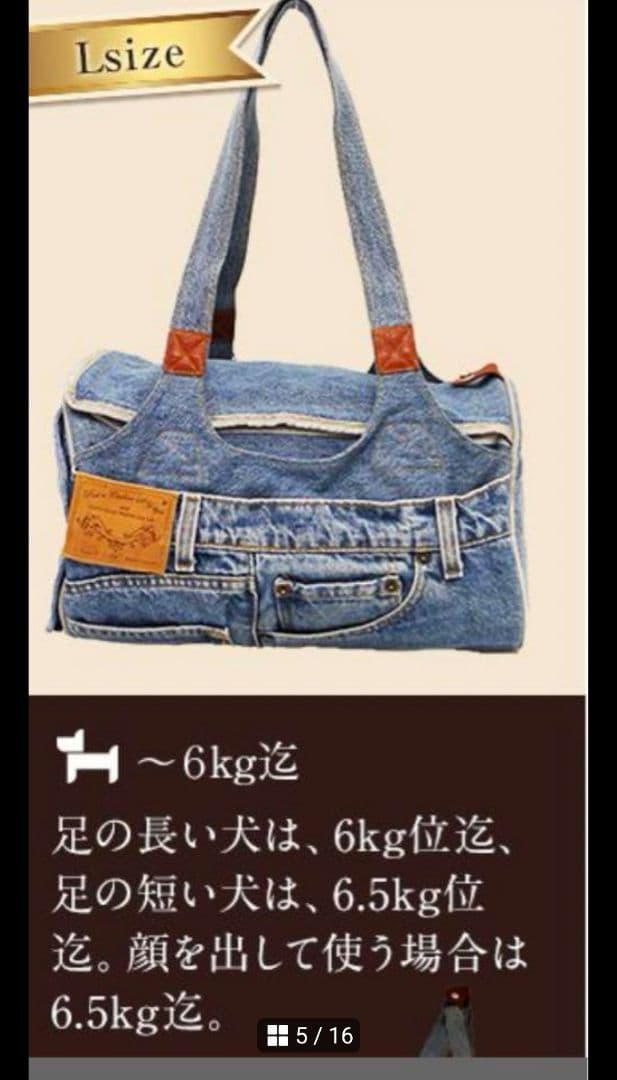 ルシアンエサヨ⭐リデューキャリージャガーカプチーノ