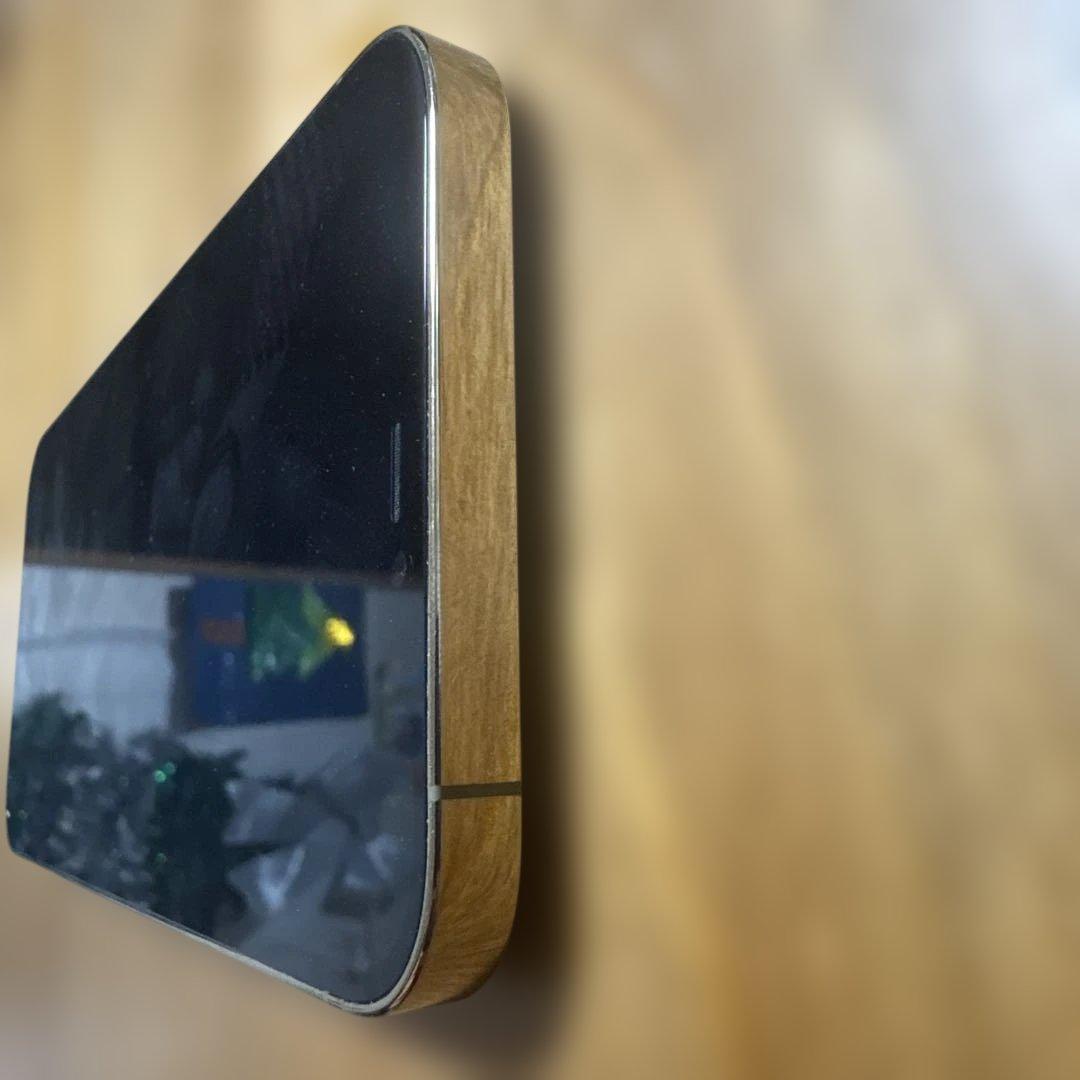 Apple iPhone 12pro max 本体