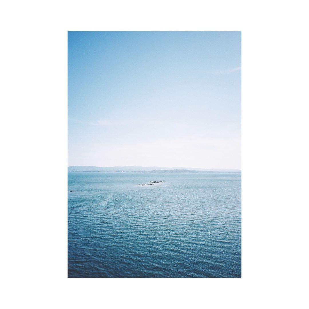 ⌘完動品！ モルト交換済み！ 作例あり MINOLTA XG-S⌘