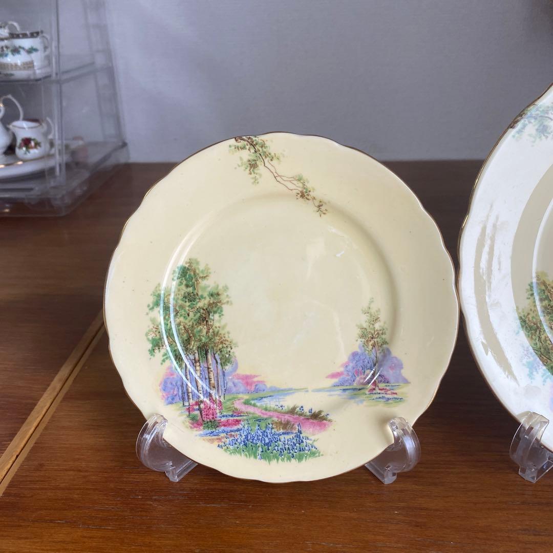 エインズレイ　ブルーベル　クリームイエロー　カルテットカップ　ソーサー　プレート