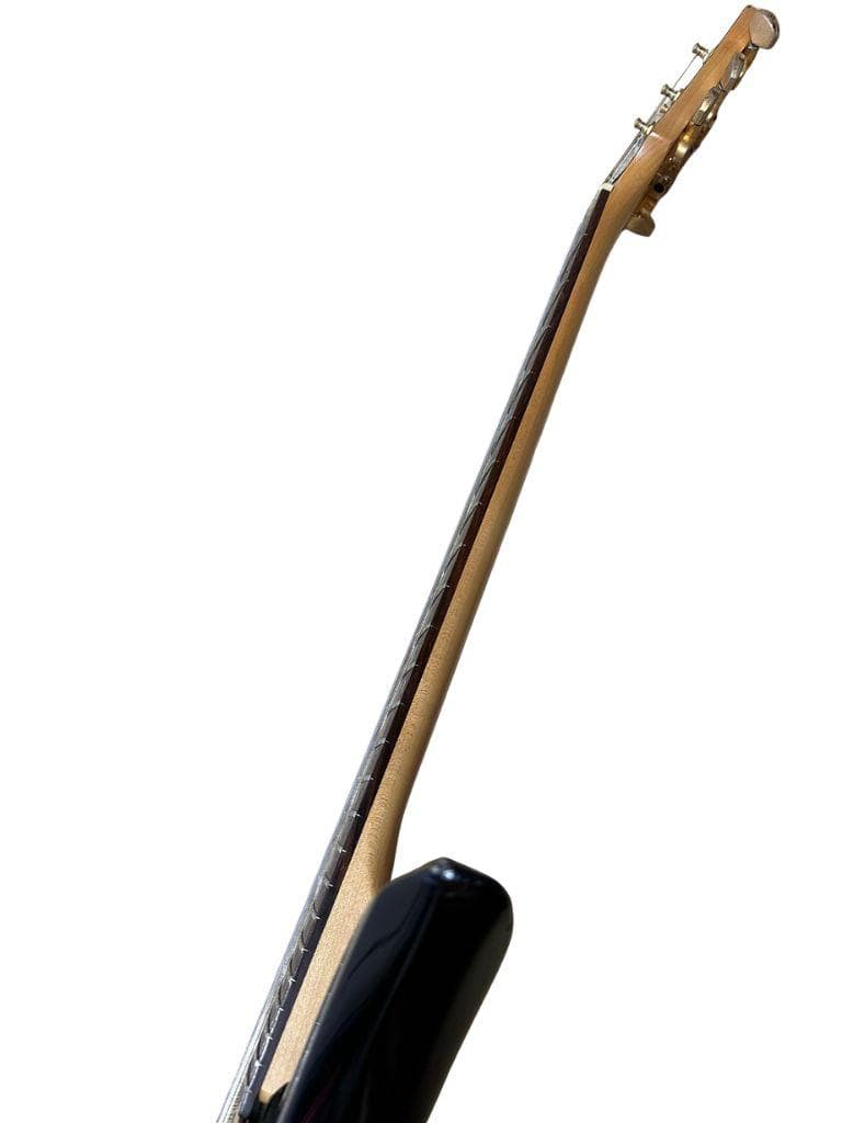 TARGET by FERNANDES MGT モッキンバード エレキギター