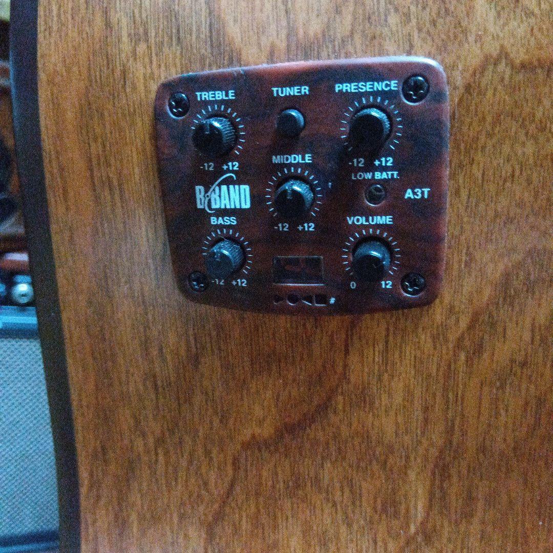 「エレアコ」カナダ製 Simon＆Patrick Wood Land Cedar