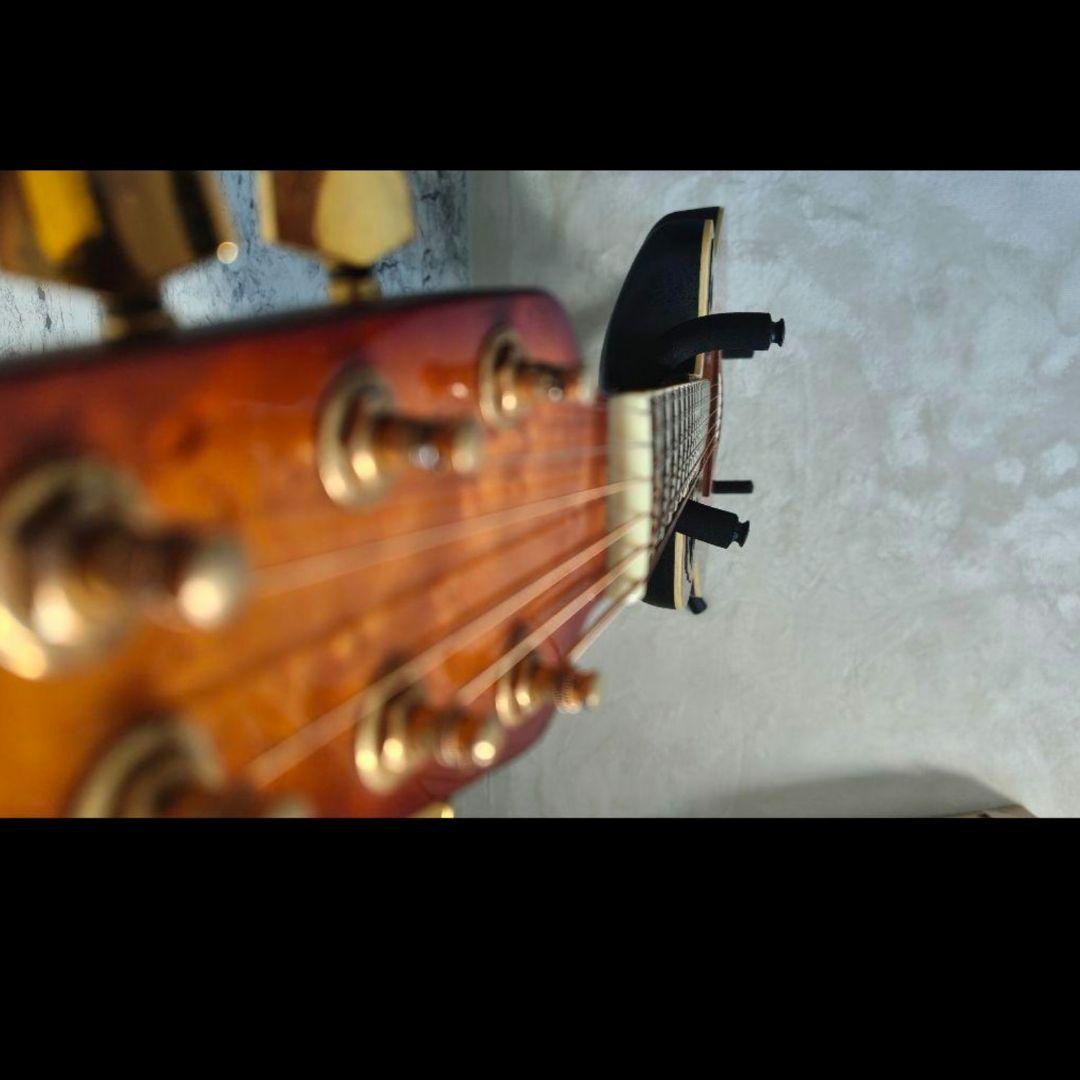 Ovation Celebrity Deluxe cc257 エレアコ ギター