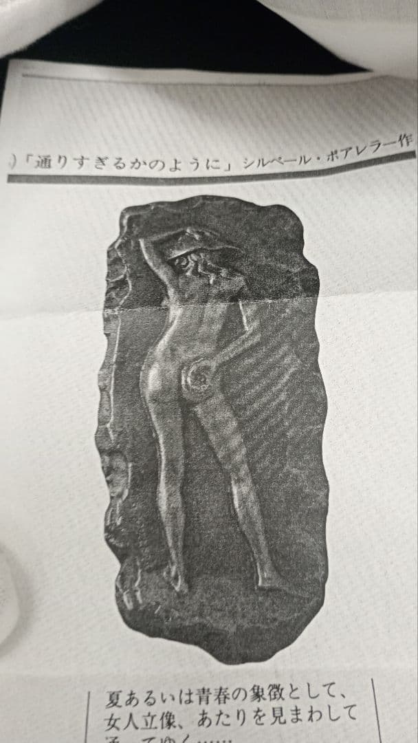 ジルベール、ボアレラ　銅板壁掛け飾り