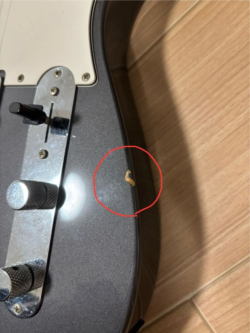 スクワイヤー　テレキャスター　グレー