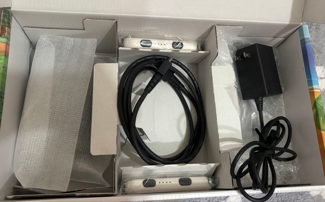 Nintendo Switch どうぶつの森セット 完品 本体ケース付き