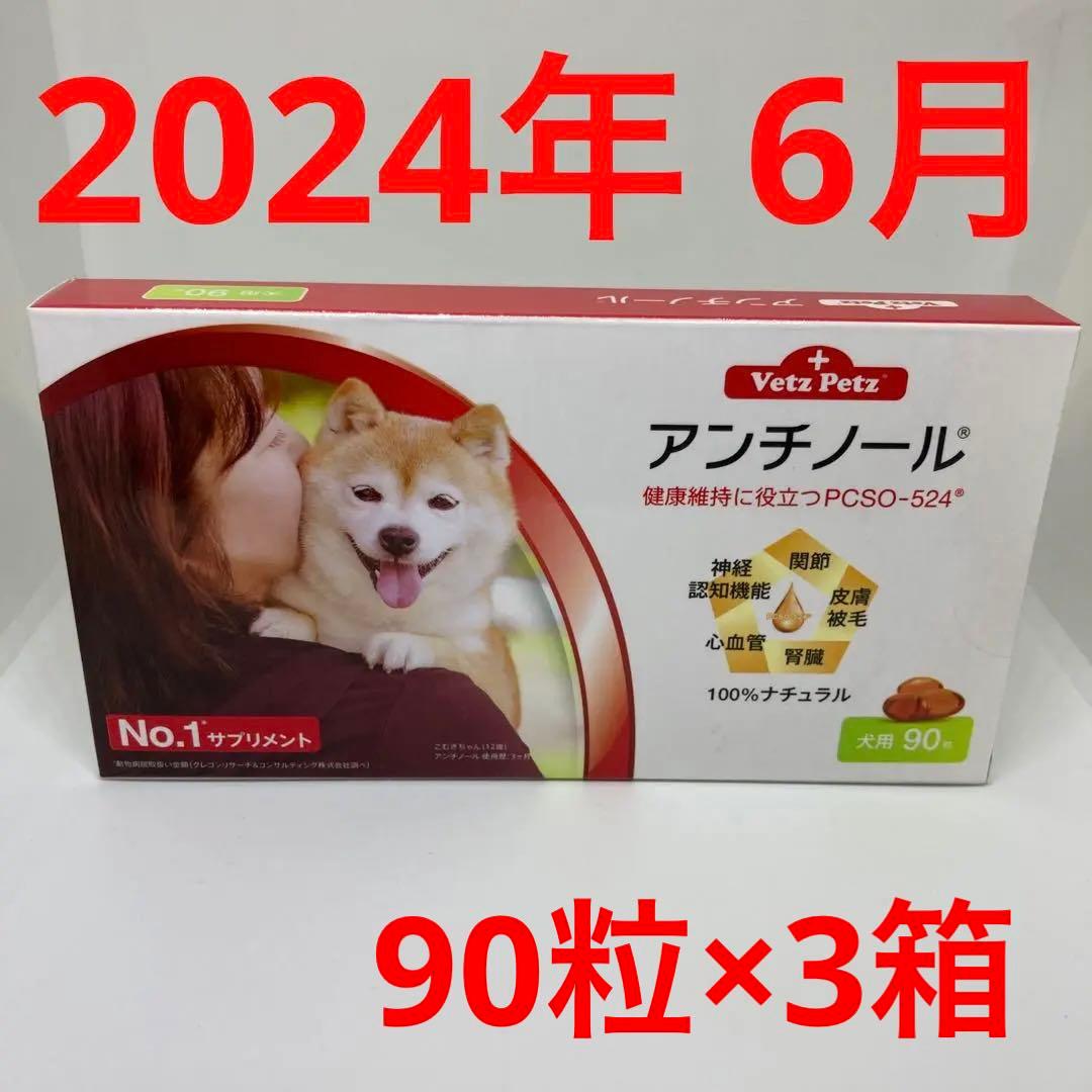 3箱 アンチノール 犬用 サプリメント 90粒 賞味期限2024年6月