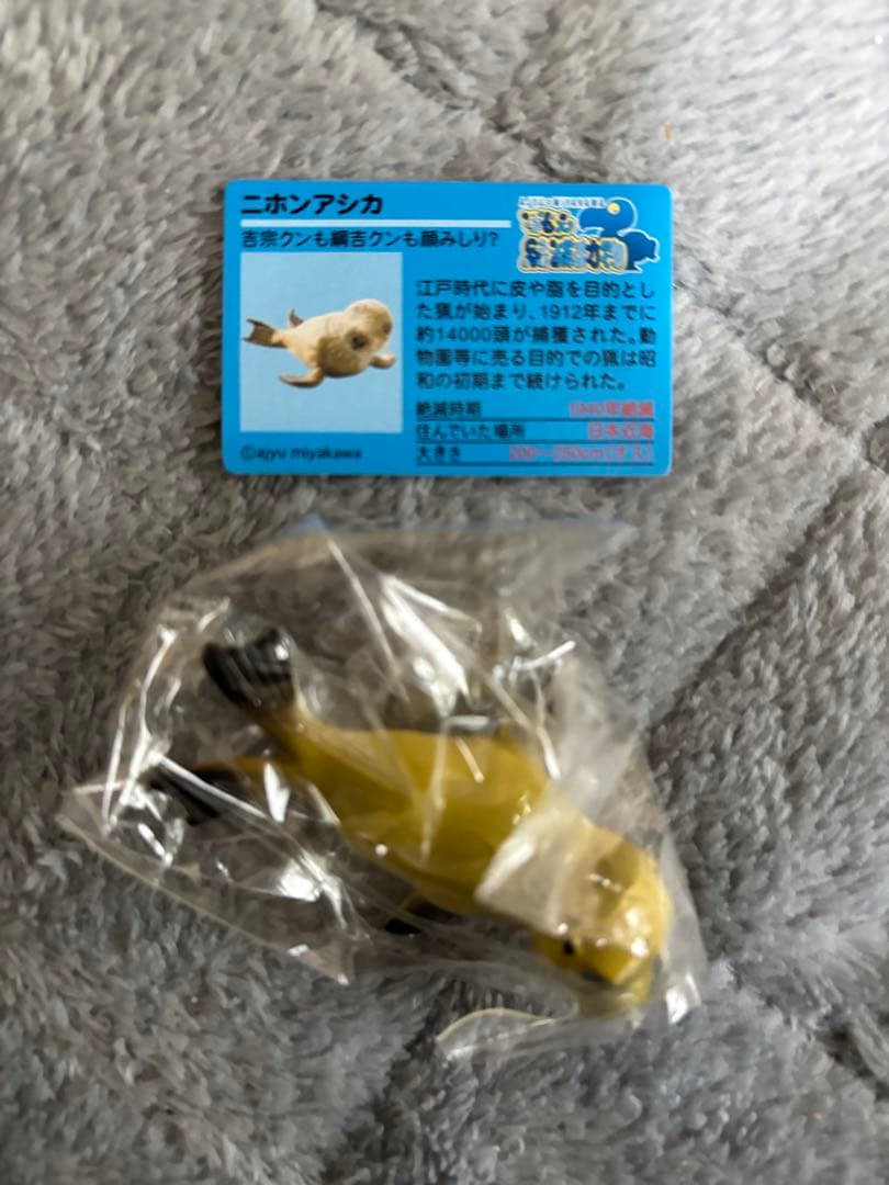 戦え絶滅動物PART2 宮川アジ　ドードー　マンモス　オオカミ　アシカ　キタタキ