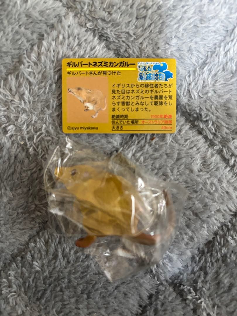 戦え絶滅動物PART2 宮川アジ　ドードー　マンモス　オオカミ　アシカ　キタタキ