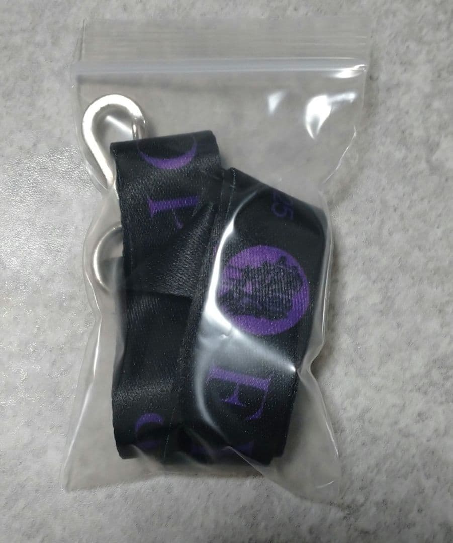 B'z LIVE-GYM 2025 FYOP Premium席　グッズ