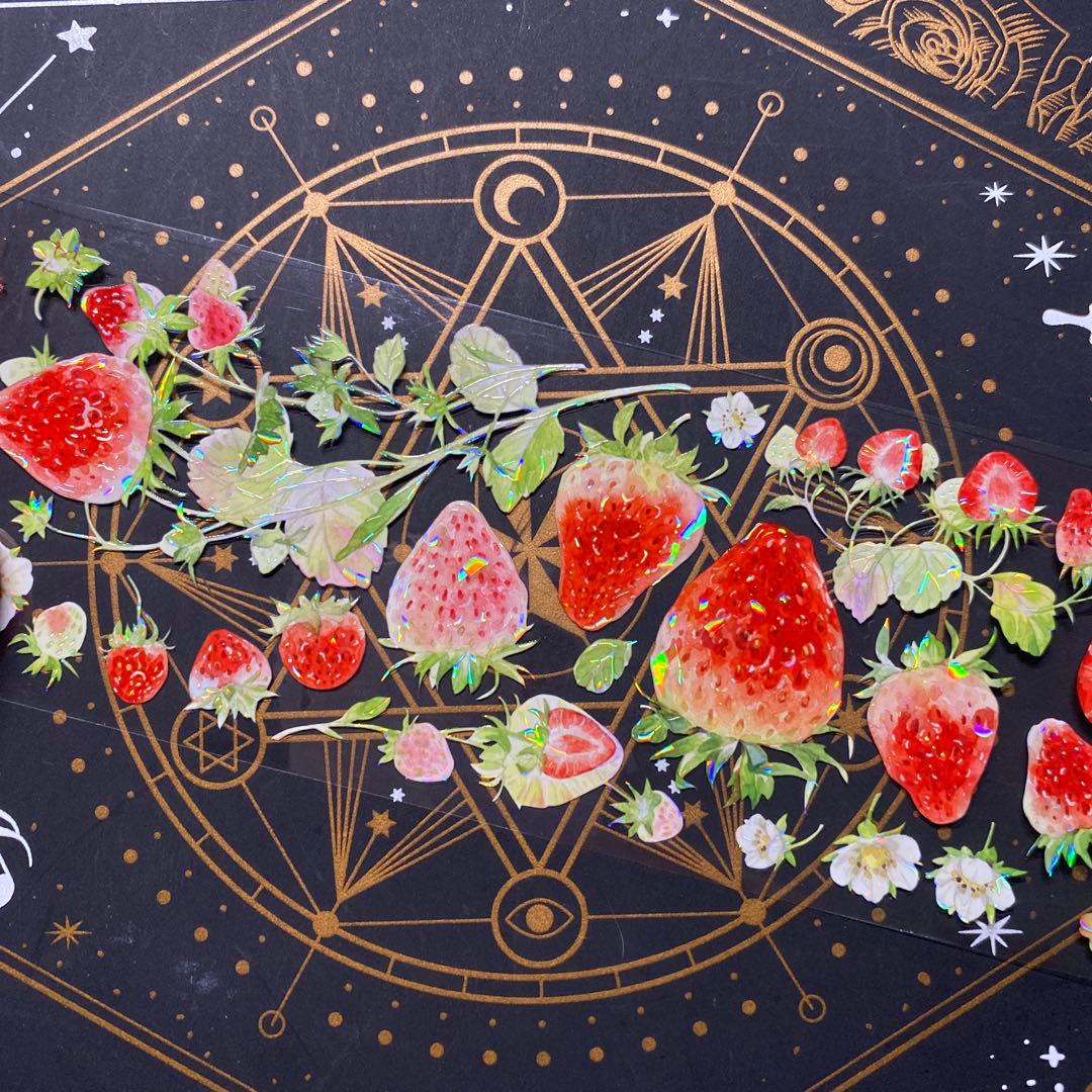 【9243】海外　マステ　中古巻　貝殻光マスキングテープ　苺　果物　お花　装飾系