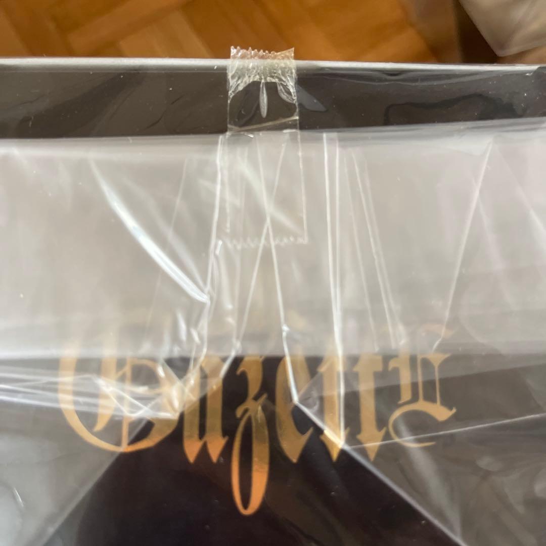 the GazettE 20周年 ビッグベア 麗