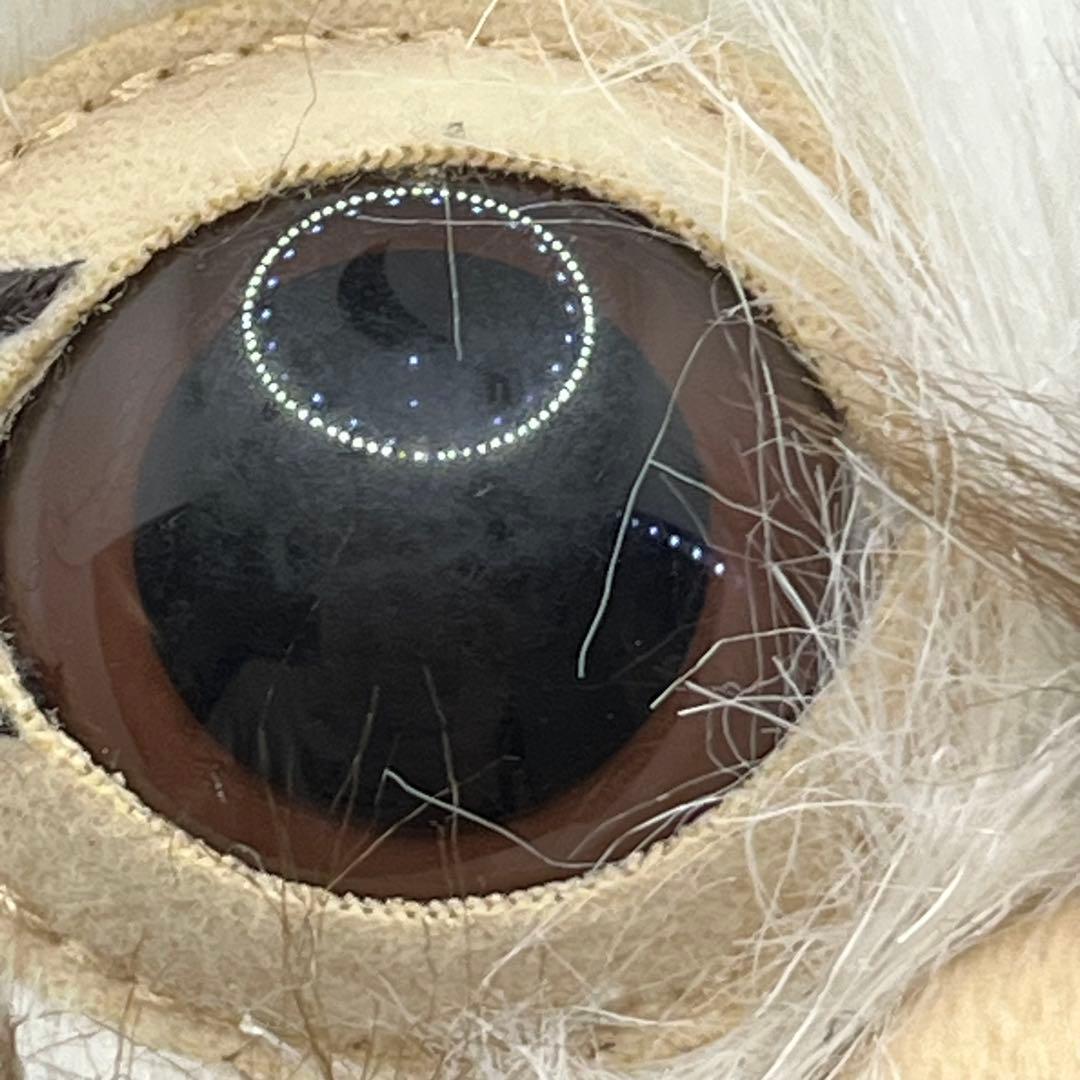 OVER THE STRiPES　ギズモ　グレムリン　ぬいぐるみ　ビニールバッグ