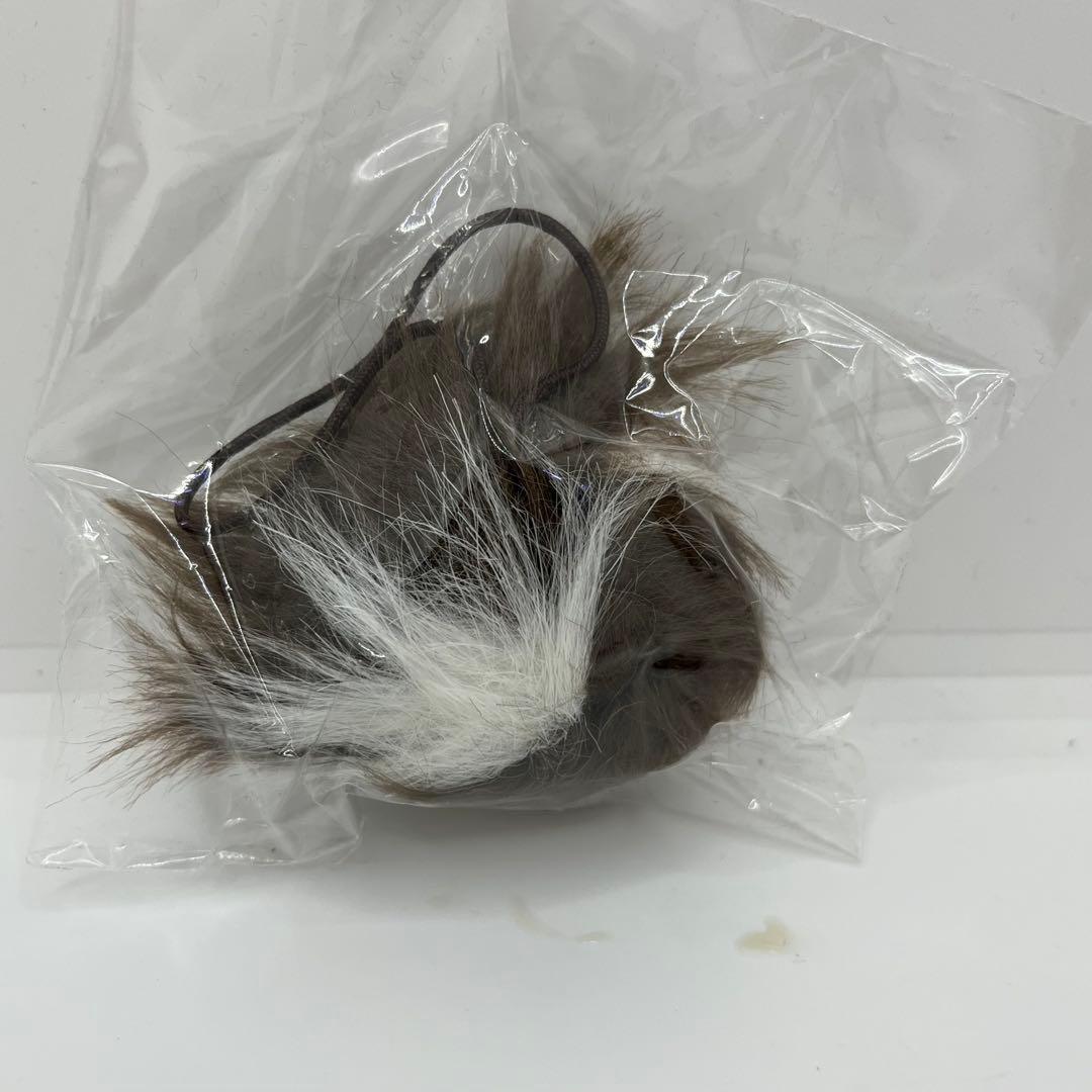 OVER THE STRiPES　ギズモ　グレムリン　ぬいぐるみ　ビニールバッグ