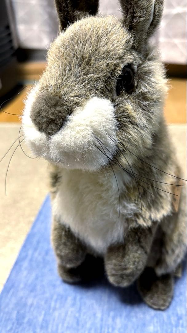KOSEN ケーセン　うさぎ　ぬいぐるみ