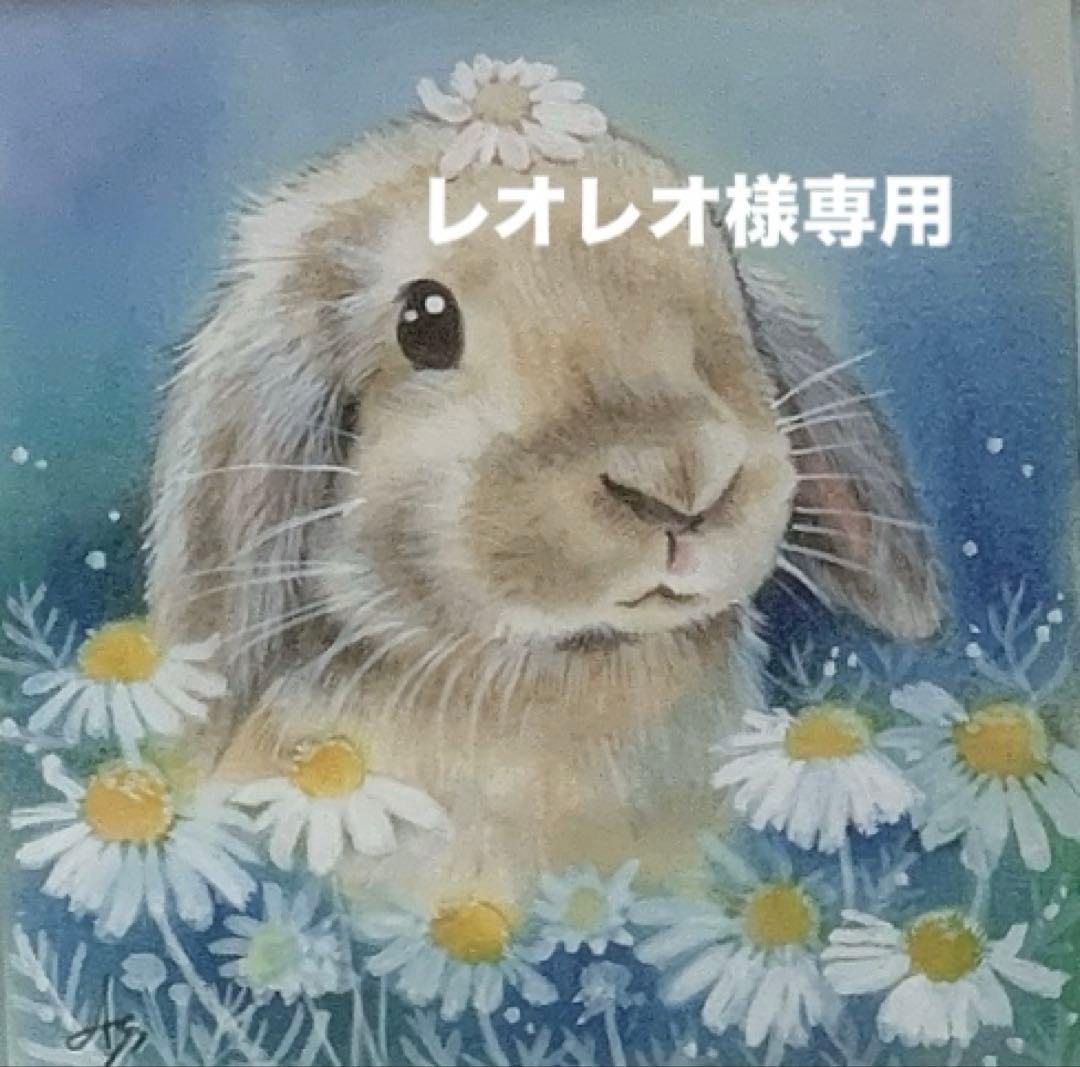 《 レオレオ》バニーセレクションプロヘアボールコントロール400g他追加有