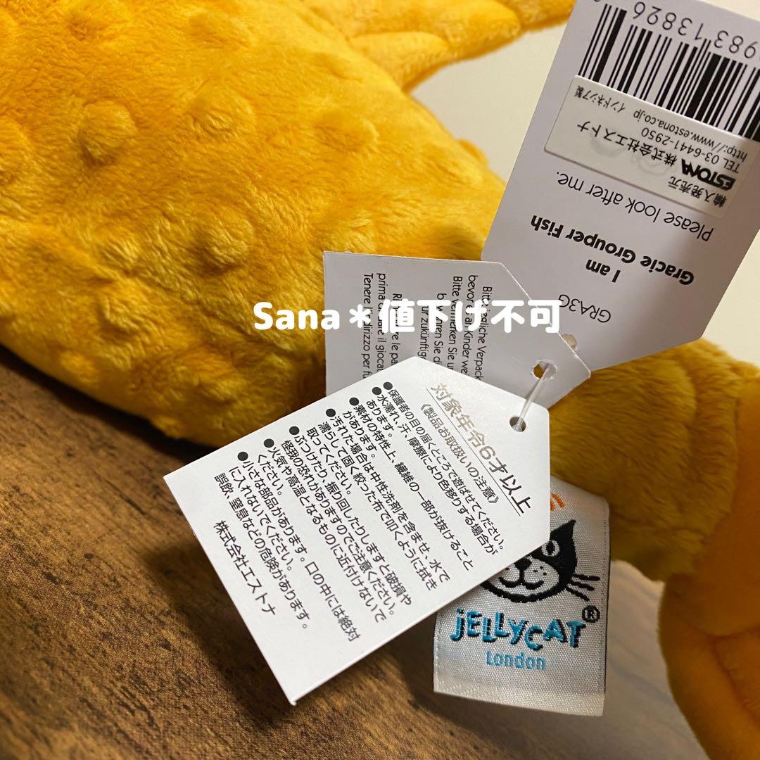 新品　ジェリーキャット　Gracie Grouper Fish ハタ　魚　金魚