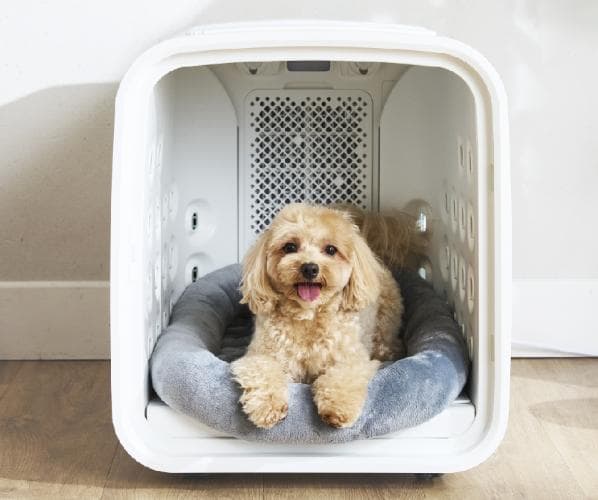 nello ペットドライルーム＋Deo犬 猫乾燥時短ドライ エアシャワー ハウス