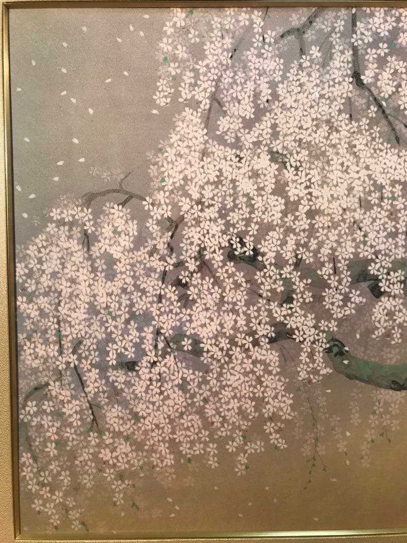 中島千波　「夢殿の枝垂櫻」　岩絵具方式複製画　刷り込みサイン・作品証明シール有り
