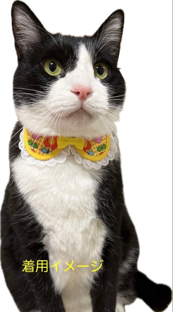 えり付き首輪(ブラウス 黒リボン) Ｎｏ．132-600