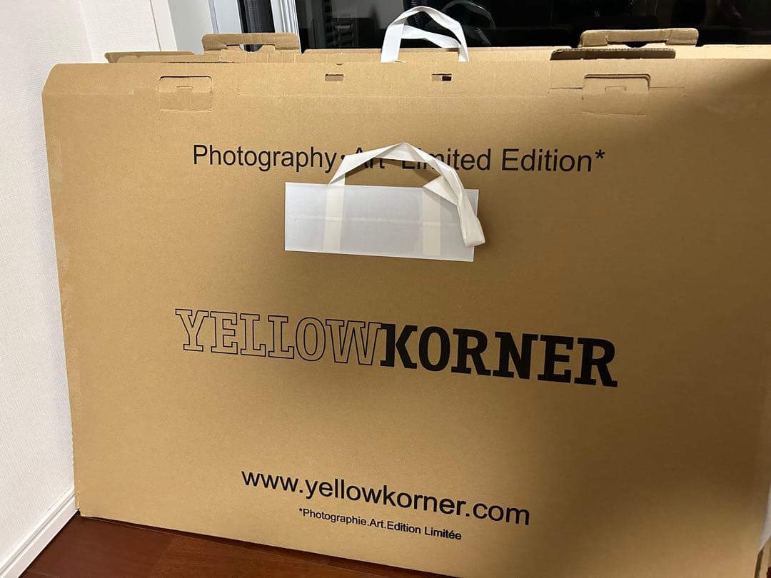 幻想的な森林の風景 Lサイズ アート写真