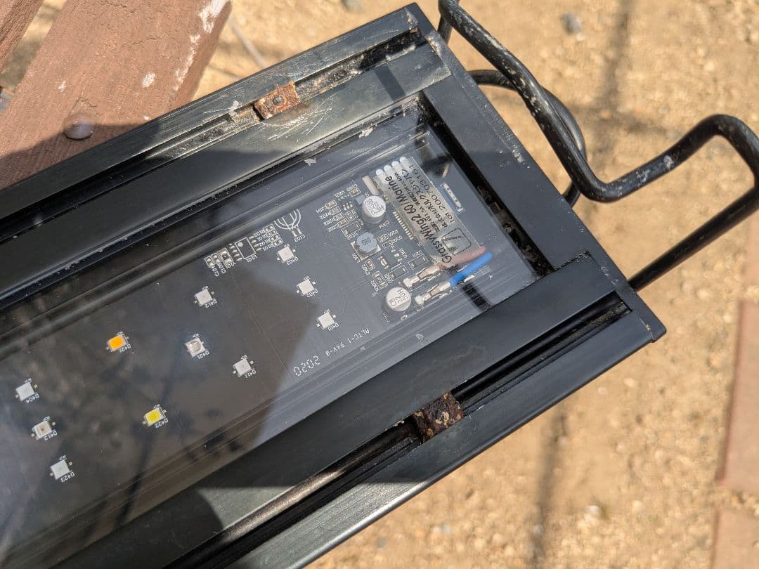 ボルクスジャパン Grassy Wing2 60 Marine　海水用