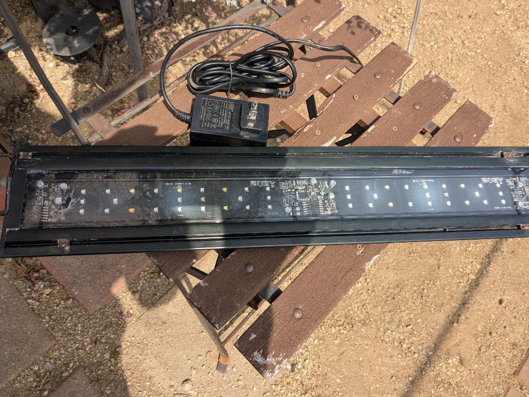 ボルクスジャパン Grassy Wing2 60 Marine　海水用