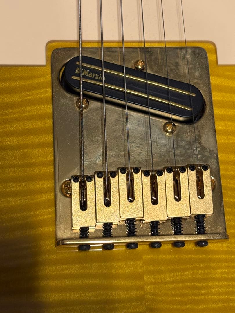 Fender テレキャスター Richie Kotzen リッチー コッツェン