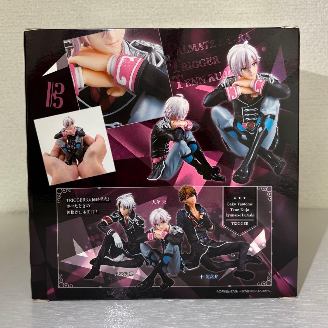 新品未開封 パルメイトえくすとら 九条天