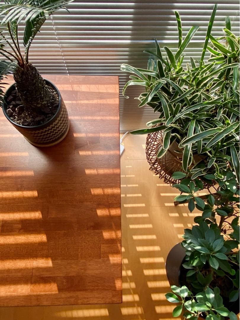 【本日限定値下げ】KANADEMONO  THE TABLE ラバーウッド