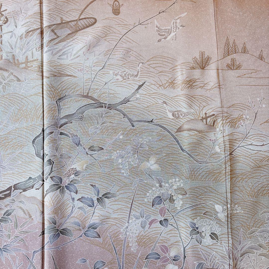 極美品　訪問着　フルセット 友禅 裄67 68 蝶　鳥卒業式　入学式　M L