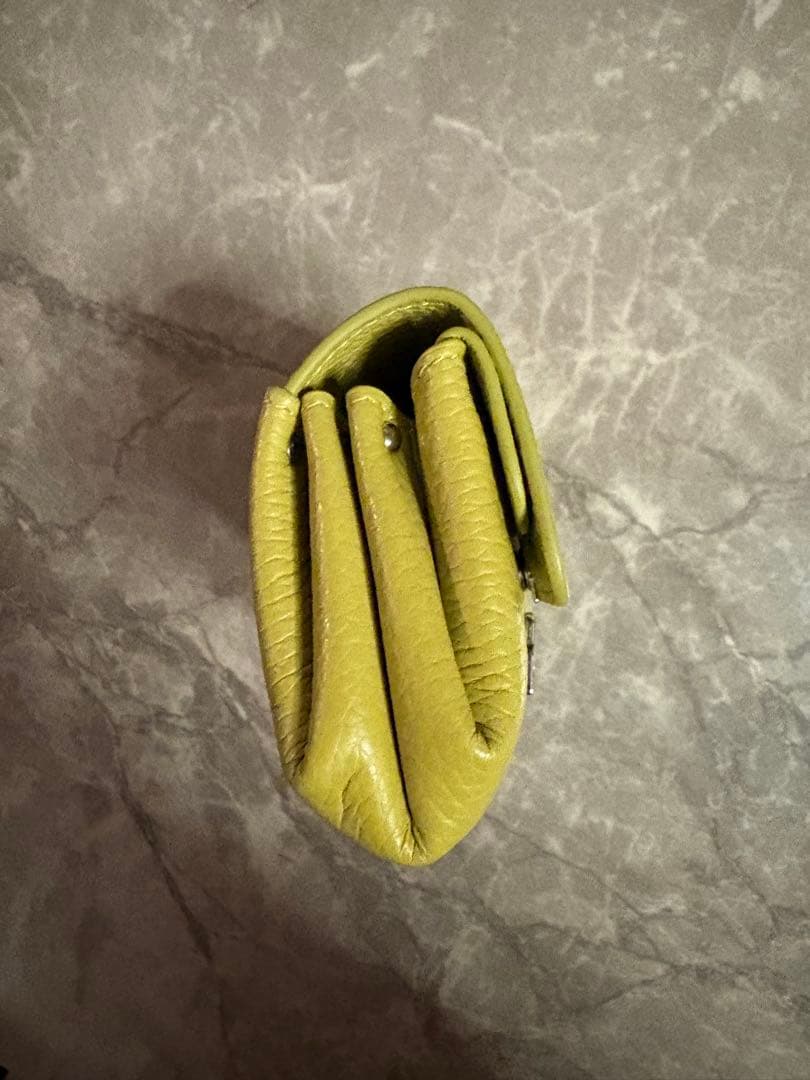 IACUCCI(イアクッチ) アバ ウォレット CERVO イエロー